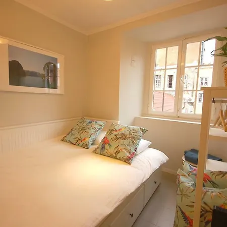 Διαμέρισμα Cozy Studio In Janelas Verdes *